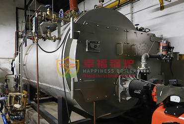 WNS series Gas fired boilers